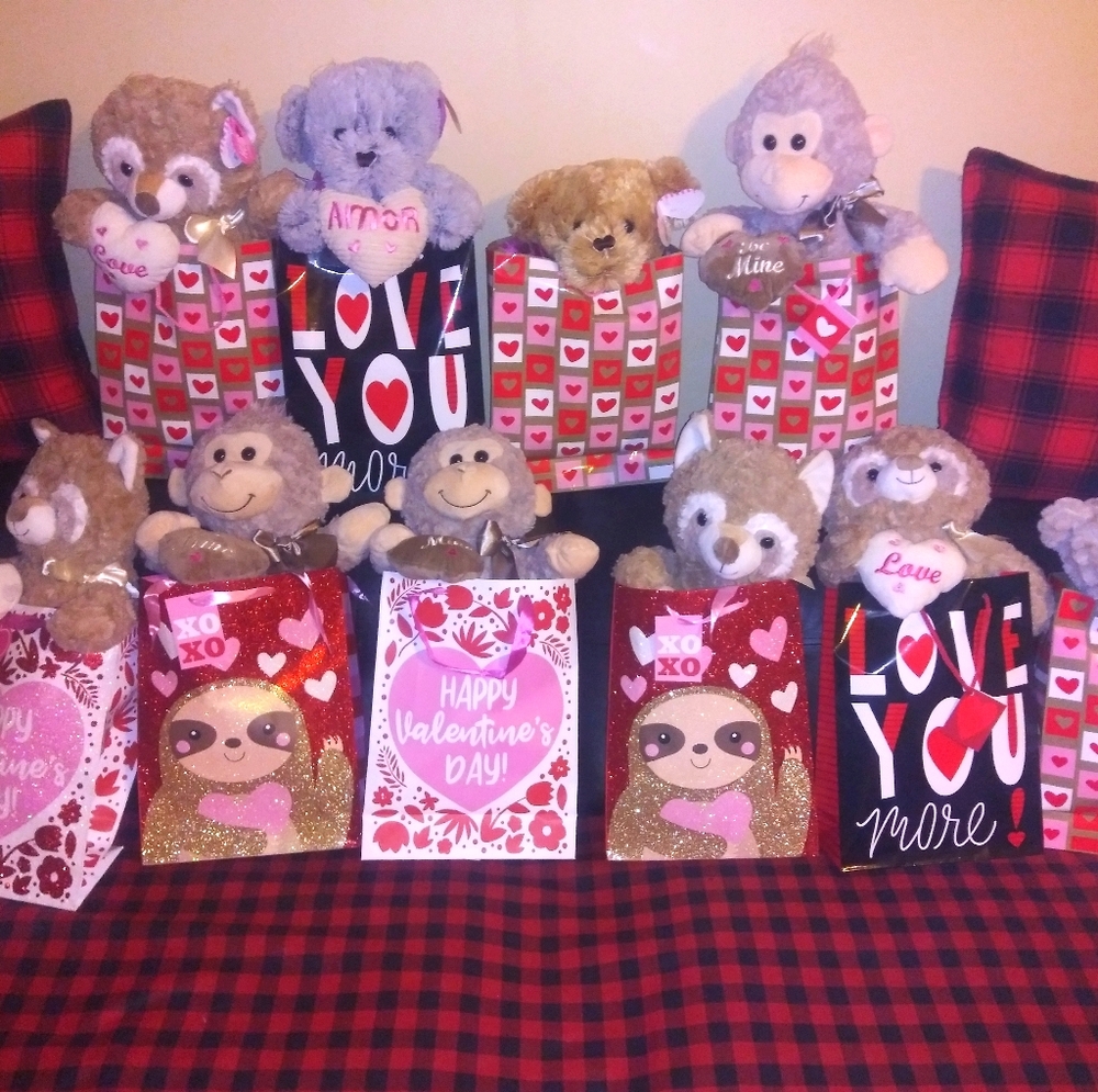 5 Bundle ❤ Teddy Bear in Bag